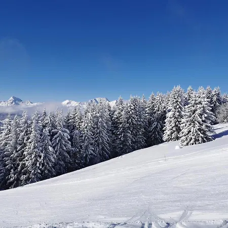 Stallion D15 Appartement *