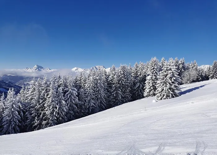 Stallion D15 Apartamento *